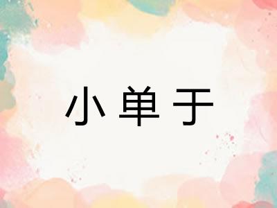 小单于