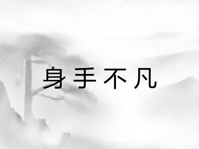 身手不凡