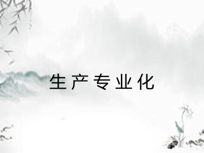 生产专业化