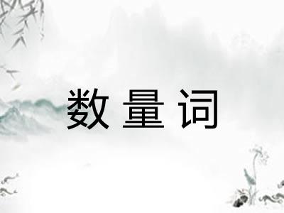 数量词