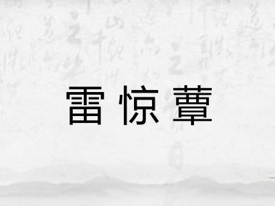 雷惊蕈