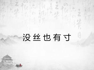 没丝也有寸