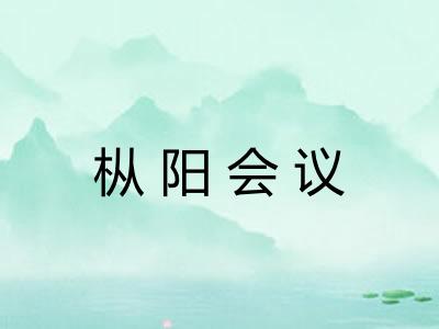 枞阳会议