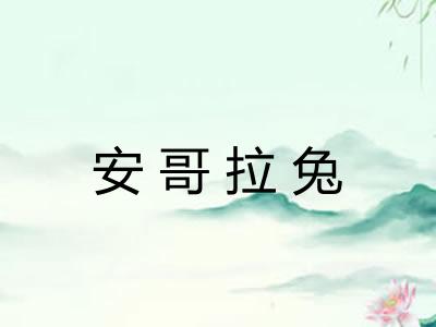 安哥拉兔