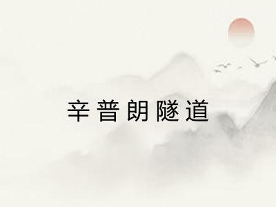 辛普朗隧道