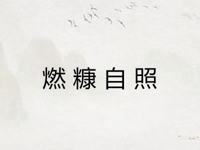 燃糠自照