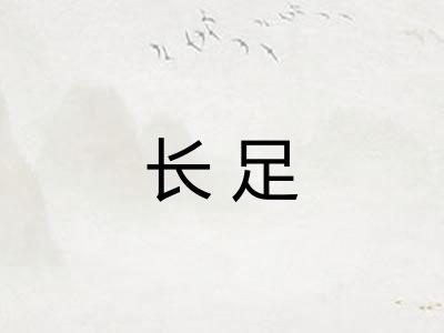 长足