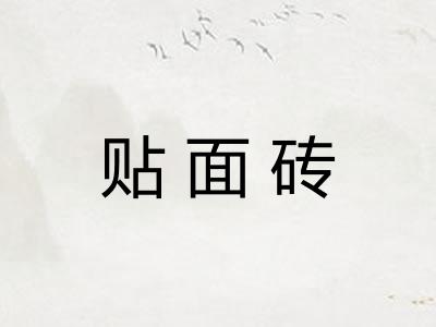 贴面砖
