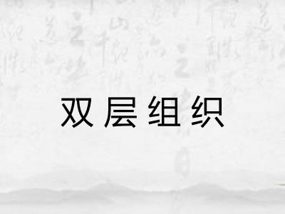 双层组织