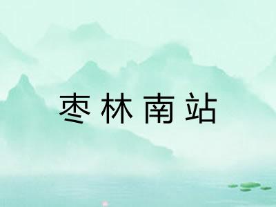 枣林南站