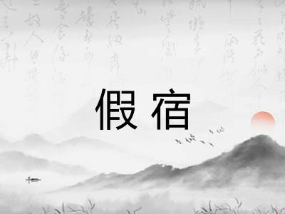 假宿