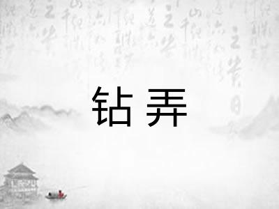 钻弄