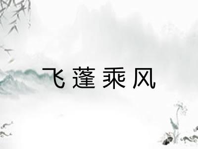 飞蓬乘风