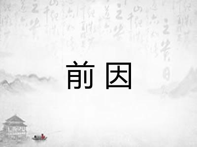 前因
