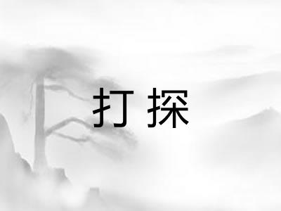 打探
