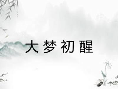 大梦初醒