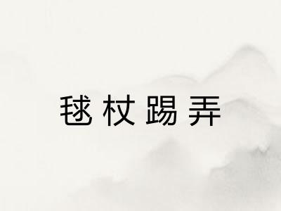 毬杖踢弄
