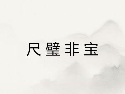 尺璧非宝
