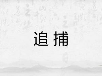 追捕