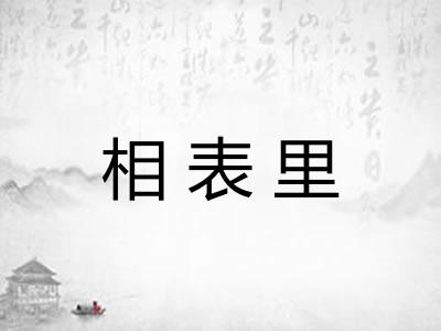 相表里