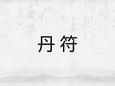 丹符
