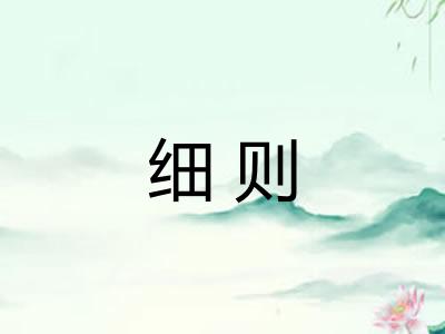 细则