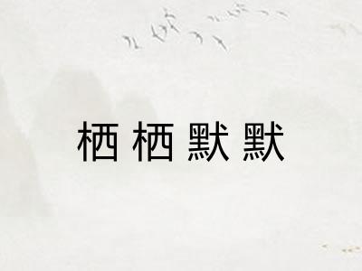 栖栖默默