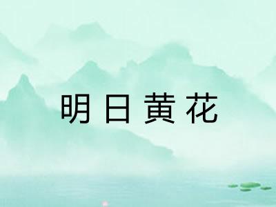 明日黄花