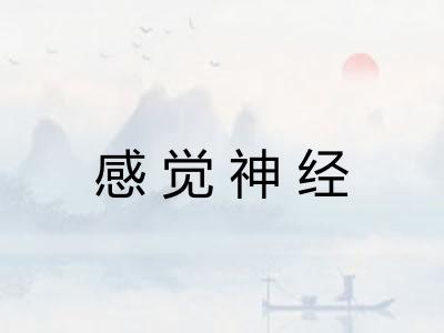 感觉神经