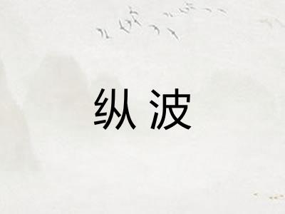 纵波