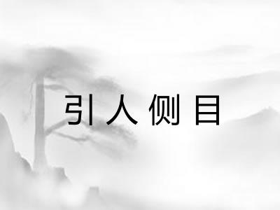 引人侧目