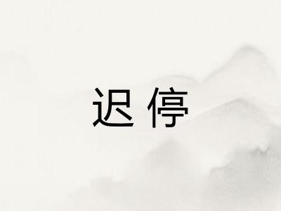 迟停