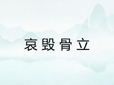 哀毁骨立