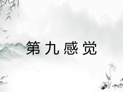 第九感觉