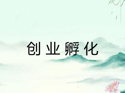 创业孵化