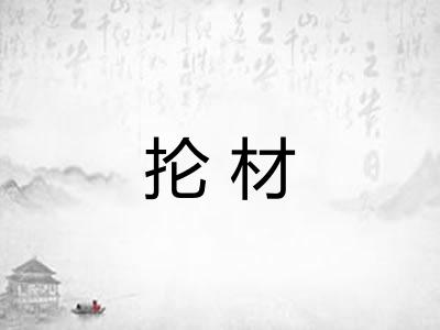 抡材