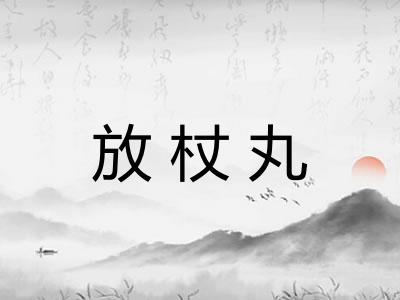 放杖丸