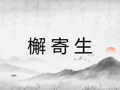 檞寄生