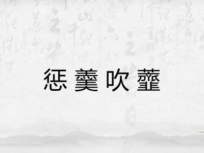 惩羹吹虀