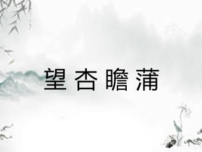 望杏瞻蒲