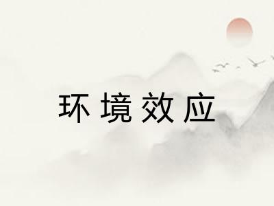 环境效应