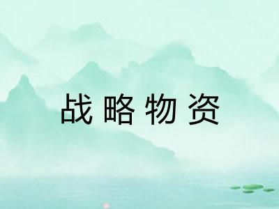 战略物资