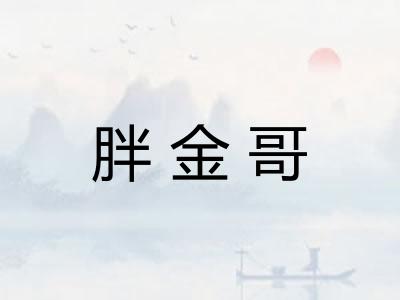 胖金哥