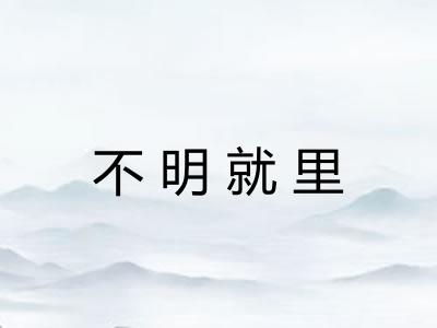 不明就里