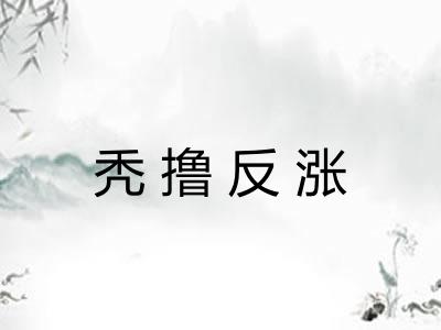 秃撸反涨