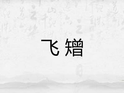 飞矰