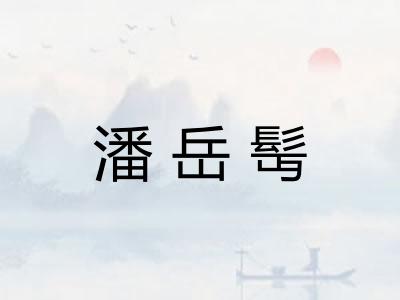 潘岳髩