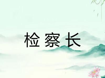 检察长