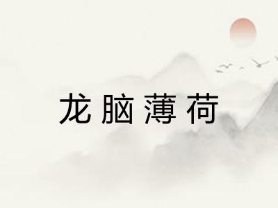 龙脑薄荷