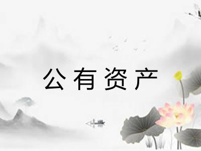 公有资产
